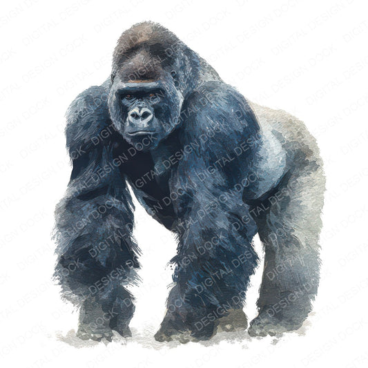 Realistic Gorilla Illustration Clipart Set (DDD008853)
