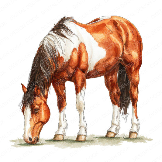 Realistic Horse Illustration Clipart Set (DDD008855)