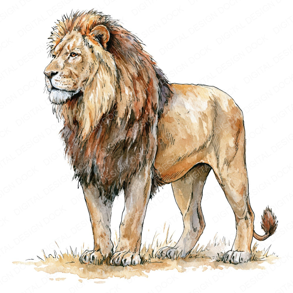 Realistic Male Lion Fussy Cut Sheets (DDD013720)