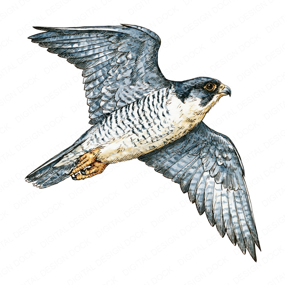 Realistic Peregrine Falcon 2