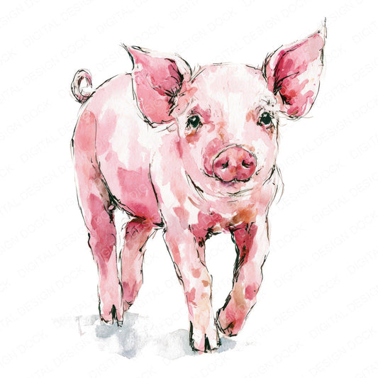Realistic Piglet Clipart Set (DDD013736)