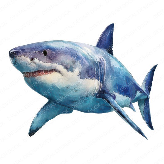 Realistic Shark Illustration Clipart Set (DDD008865)