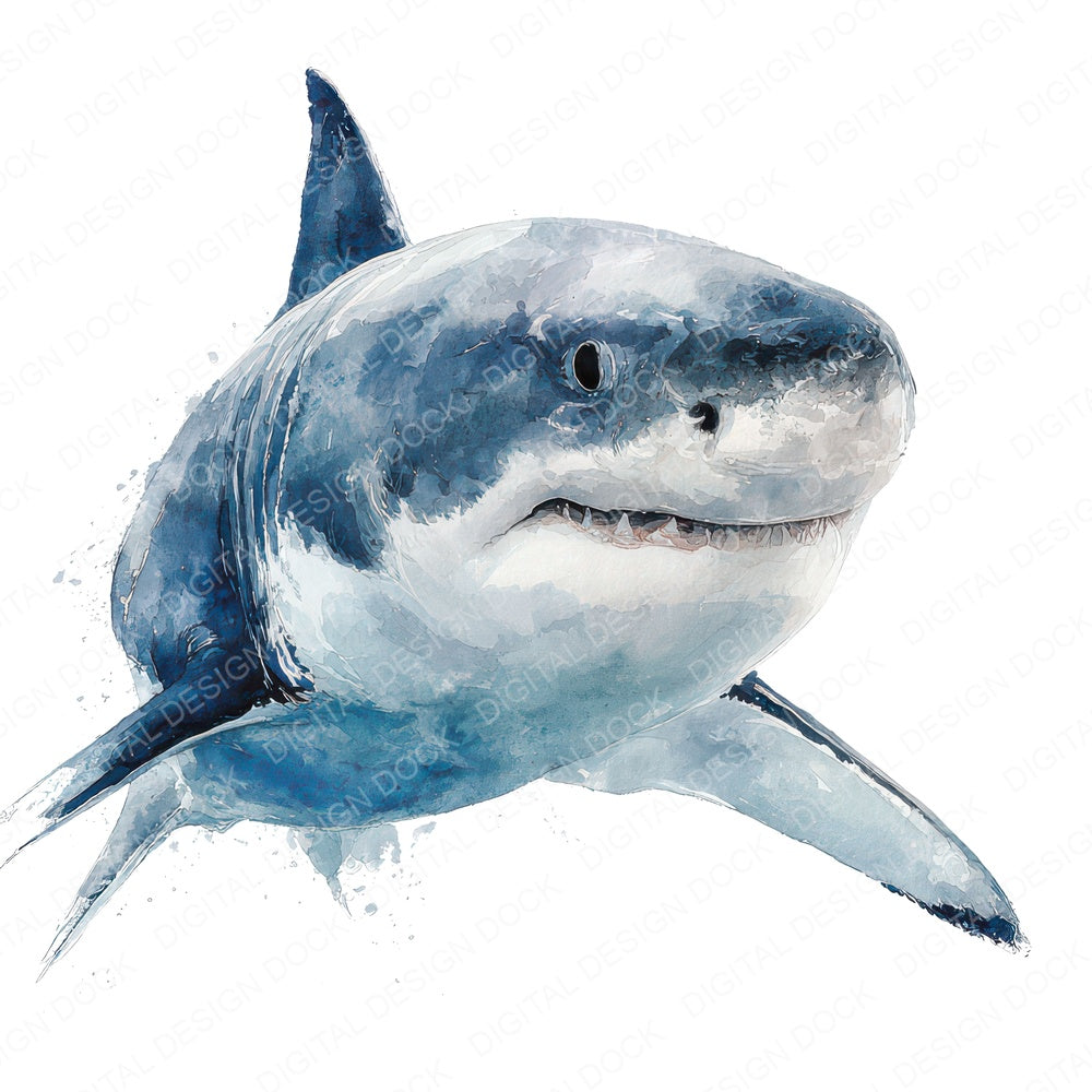 Realistic Shark Illustration Clipart Set (DDD008865)