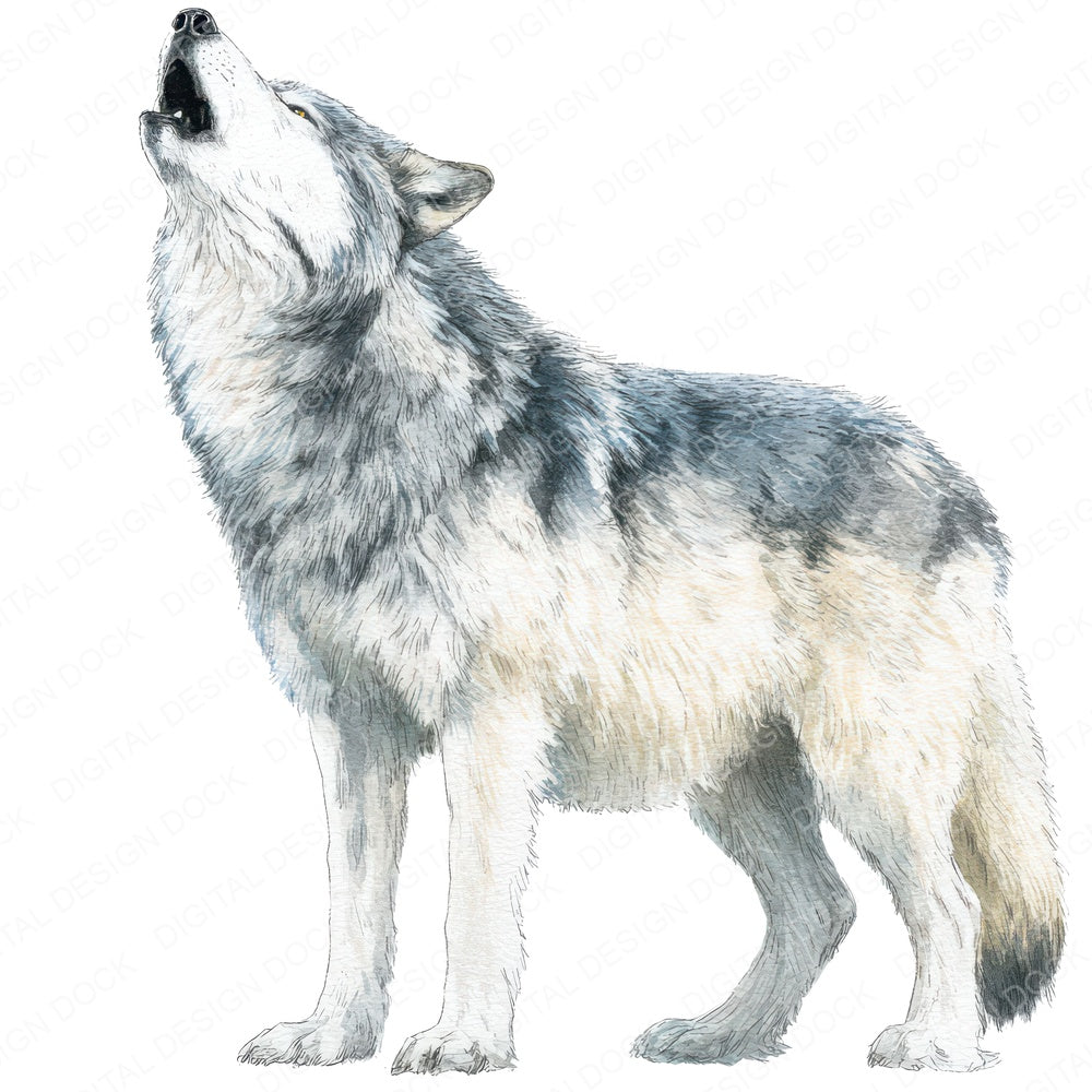 Realistic Wolf Illustration fussy cut sheet in US Letter format showing all 12 designs on one printable page