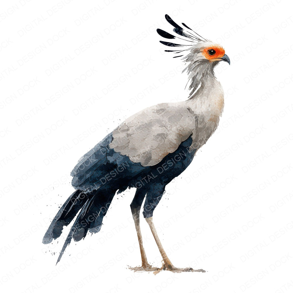 Secretary Exotic Bird Clipart Set (DDD008223)