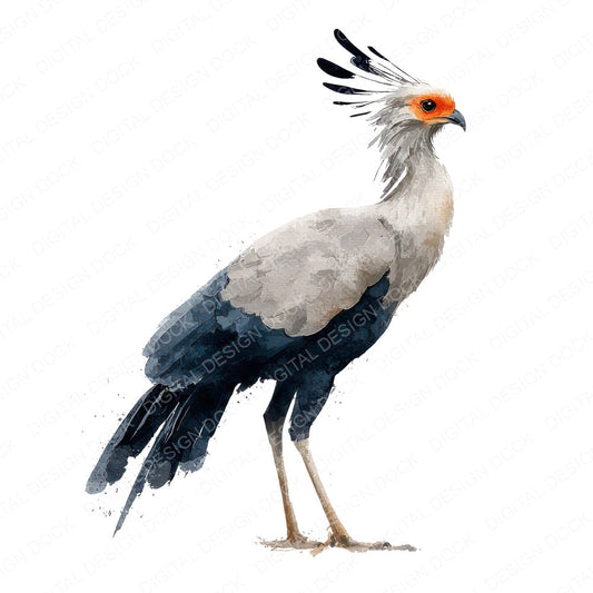 Secretary Exotic Bird Clipart Set (DDD008223)