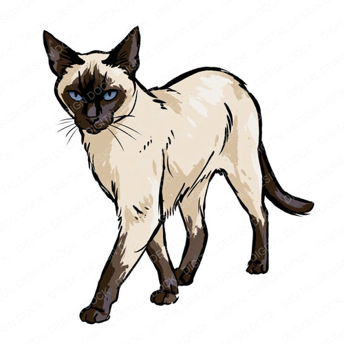 Single Siamese Watercolour Cat clipart design shown full size