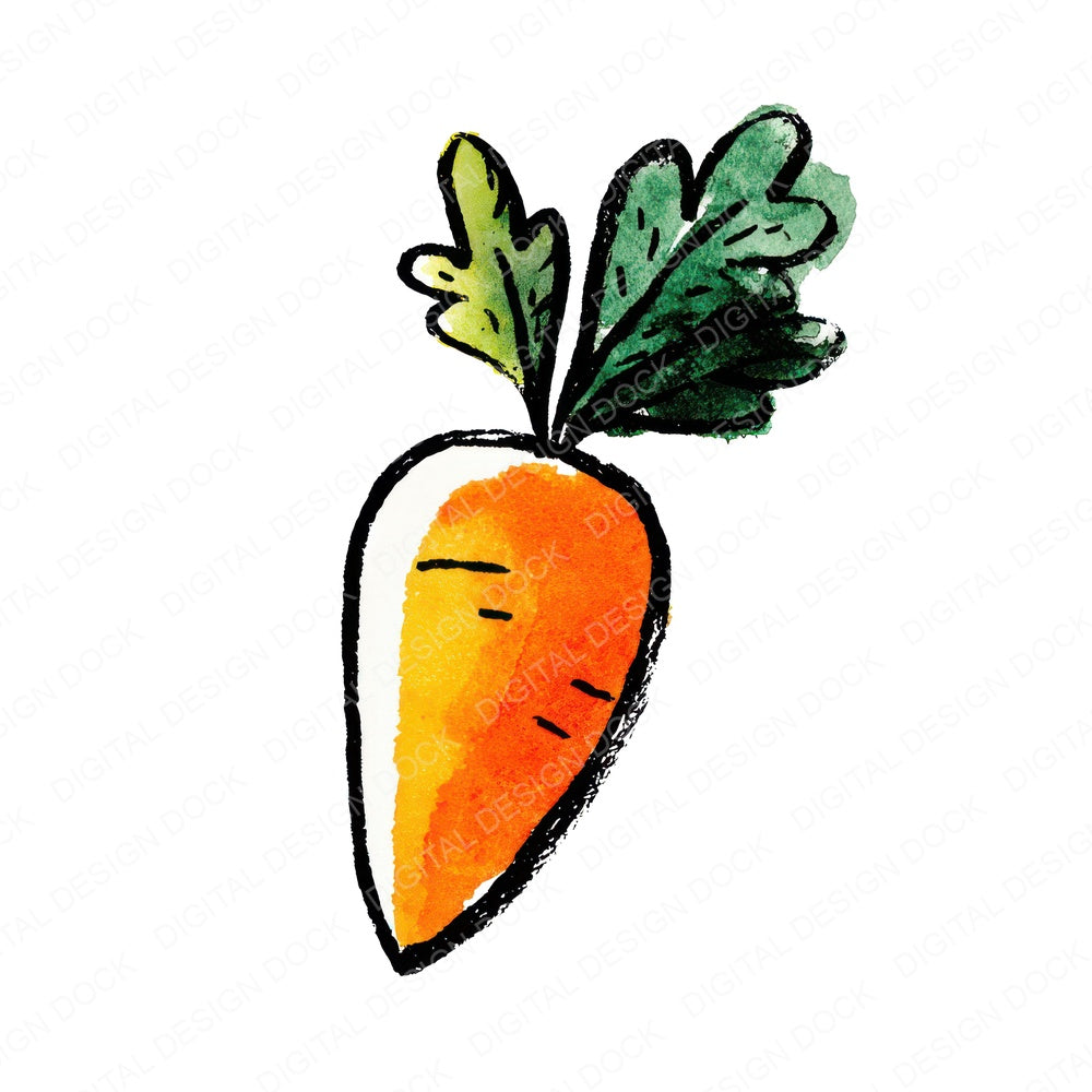 Simple Minimal Carrot Illustration Clipart Set (DDD008698)