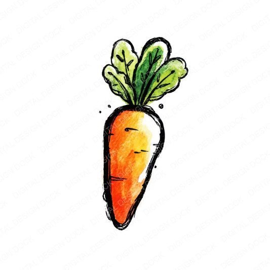 Simple Minimal Carrot Illustration Clipart Set (DDD008698)