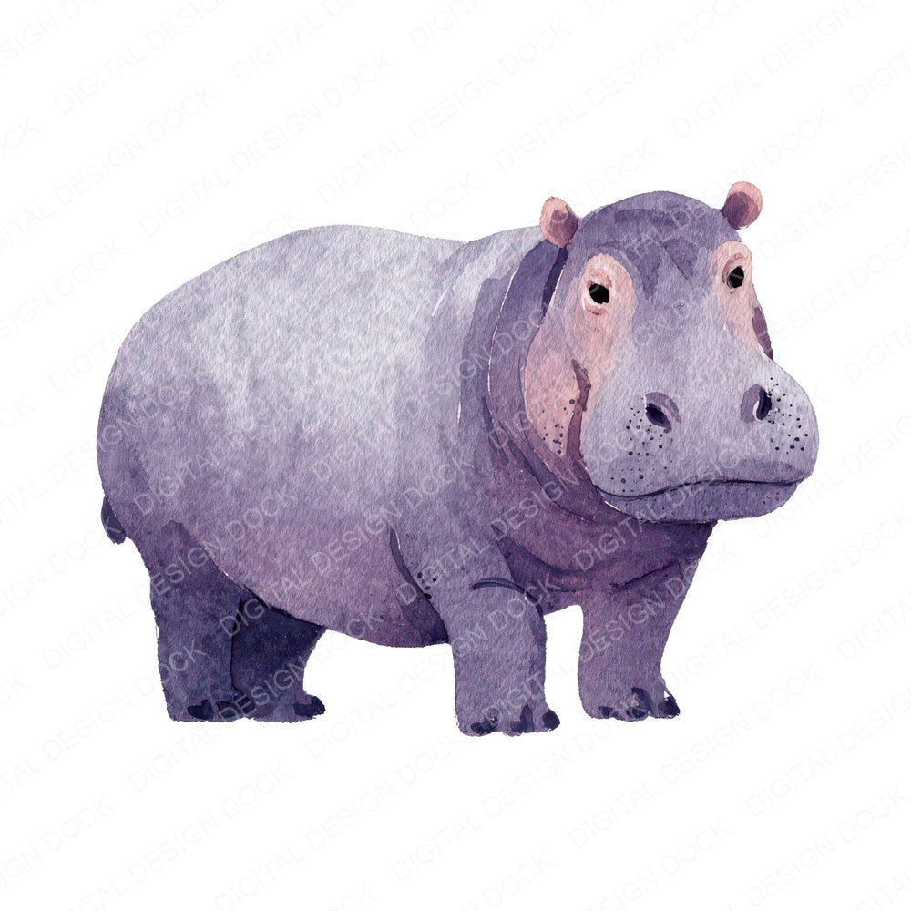 Simple Minimal Hippo Illustration Clipart Set (DDD008757)