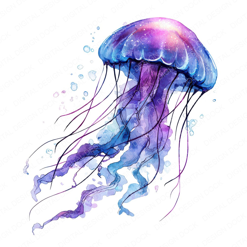 Simple Minimal Jellyfish Illustration Clipart Set (DDD008758)