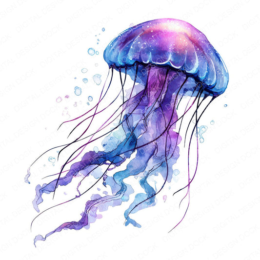 Simple Minimal Jellyfish Illustration Clipart Set (DDD008758)