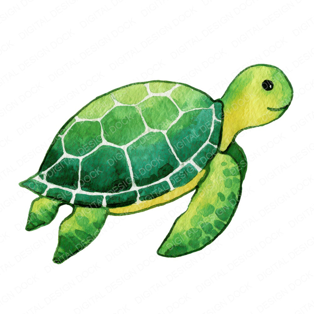Simple Minimal Sea Turtle Illustration Clipart Set (DDD008764)