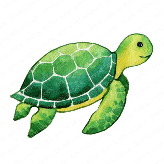Simple Minimal Sea Turtle Illustration Clipart Set (DDD008764)