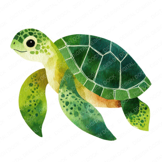 Simple Minimal Sea Turtle Illustration Clipart Set (DDD008764)