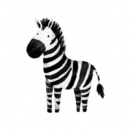 Simple Minimal Zebra Illustration Clipart Set (DDD008767)