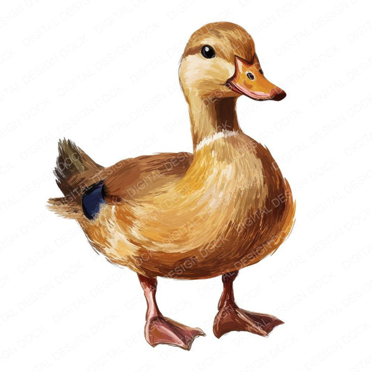 Simple Oil Painted Duck Clipart Set (DDD006551)