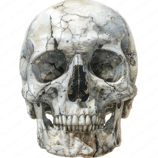 Skull Cracked Surface Clipart Set (DDD006563)