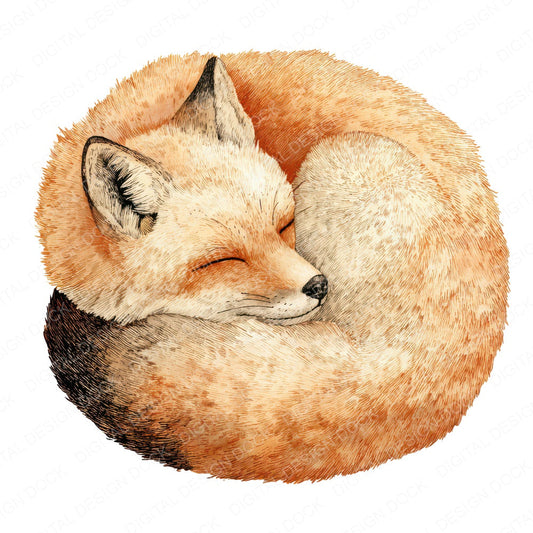 Sleeping Little Fox Clipart Set (DDD008246)