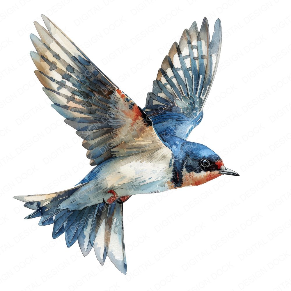 Small Swallow Clipart Set (DDD006590)