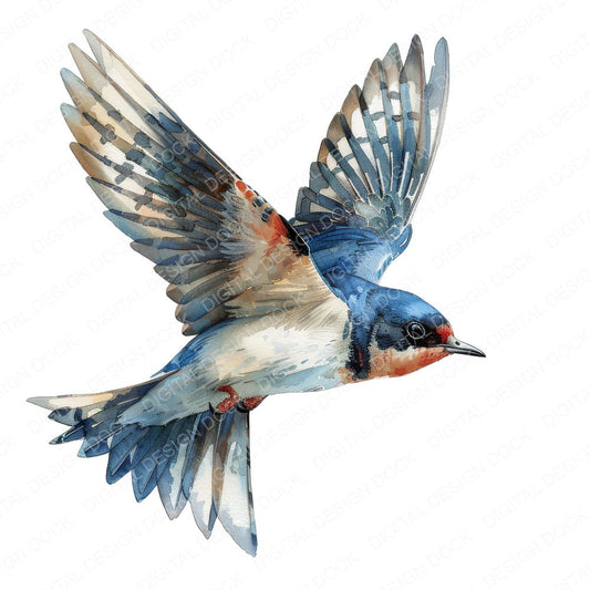 Small Swallow Clipart Set (DDD006590)