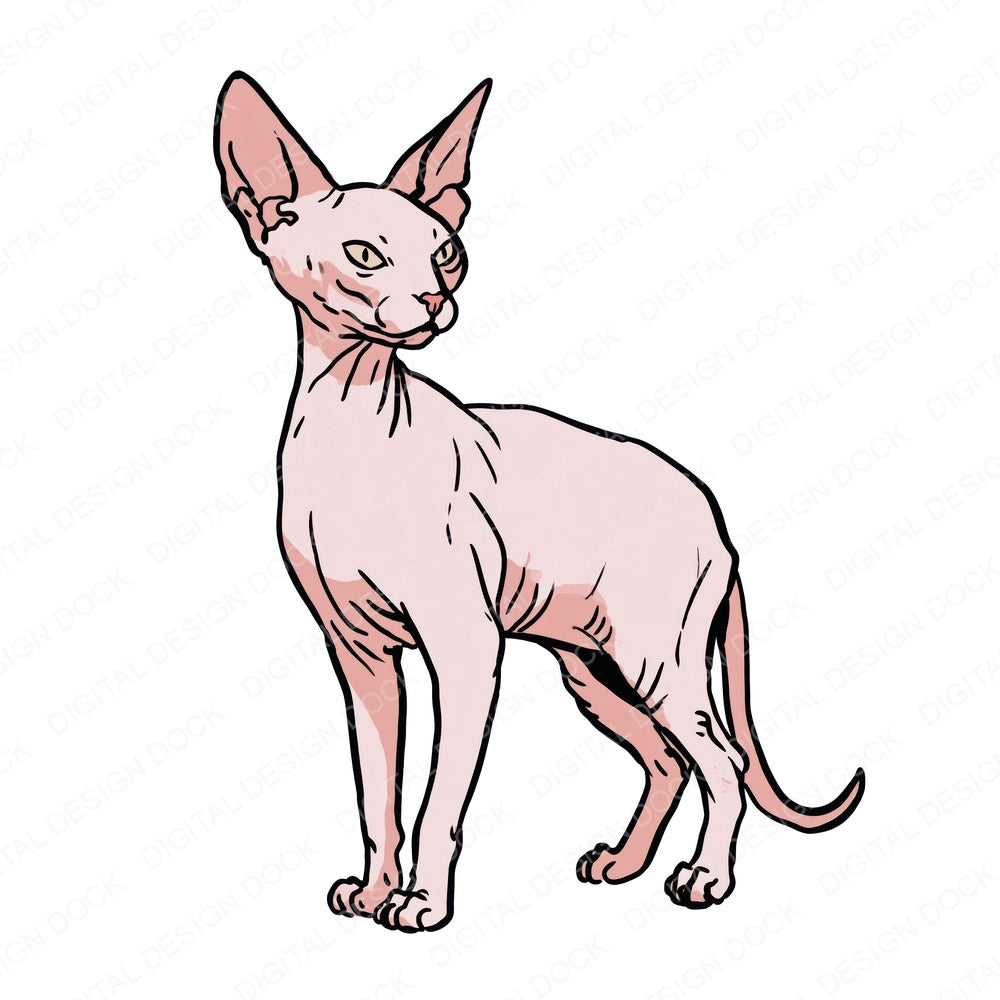 Single Sphynx Watercolour Cat design shown full size, also included as clipart