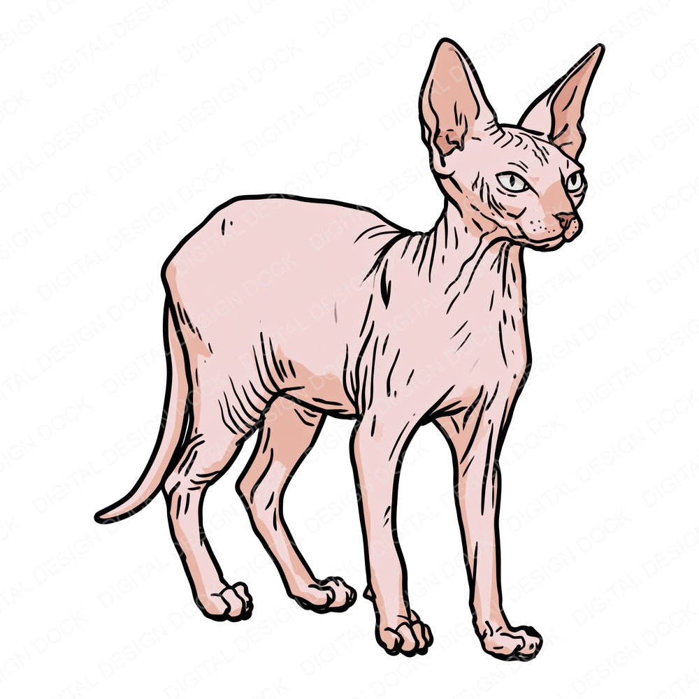 Another Sphynx Watercolour Cat design shown full size