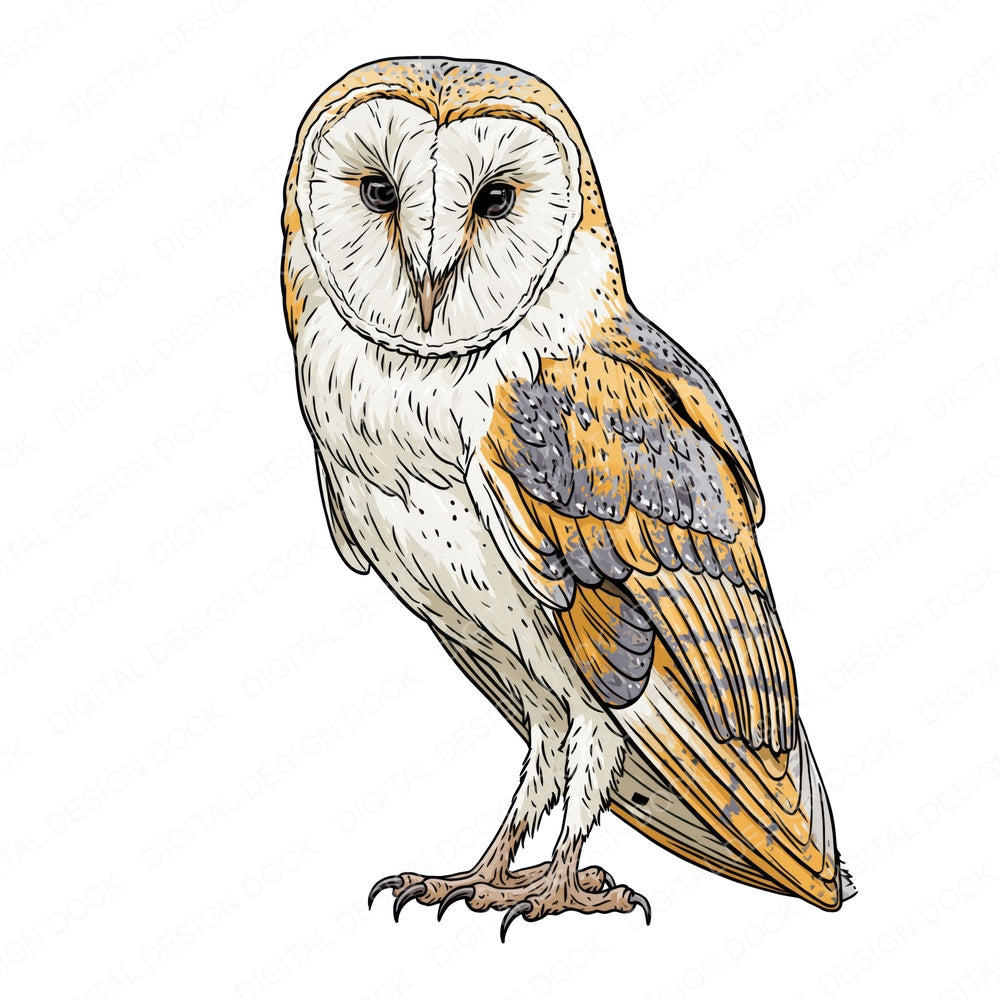 Stylised Barn Owl Fussy Cut Sheets (DDD014546)