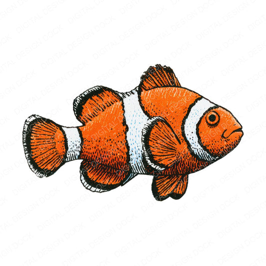Stylised Clownfish Clipart Set (DDD013739)