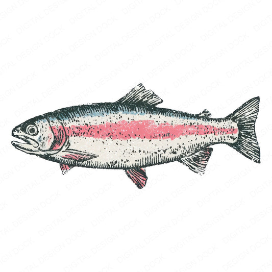 Stylised Rainbow Trout Clipart Set (DDD013744)