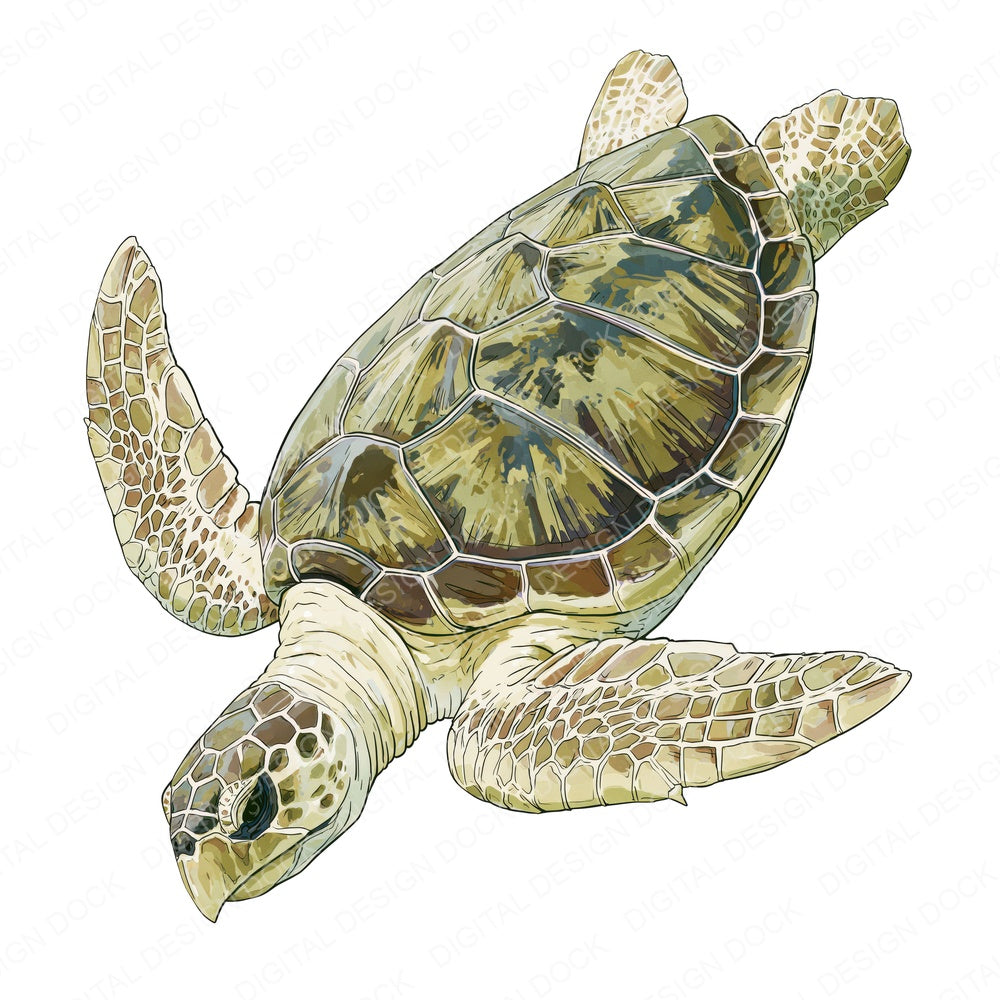 Stylised Sea Turtle Clipart Set (DDD014538)