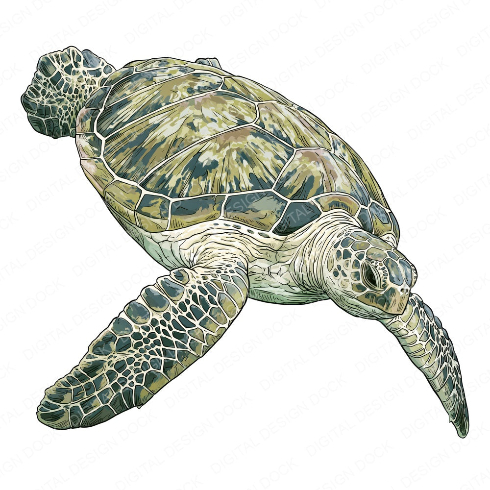 Stylised Sea Turtle Clipart Set (DDD014538)