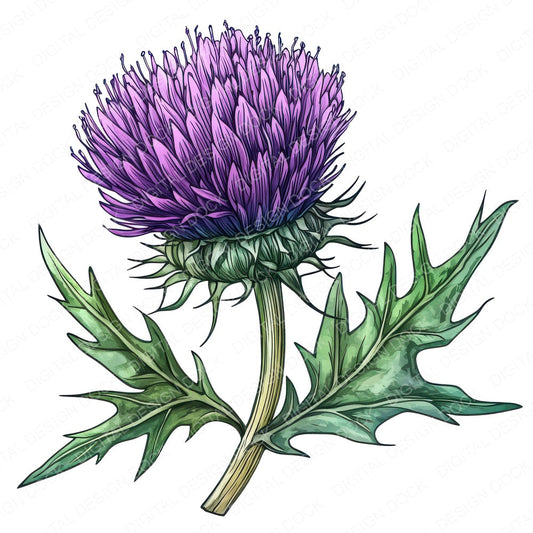 Thistle Flower fussy cut sheet in A4 format showing all 12 designs on one printable page