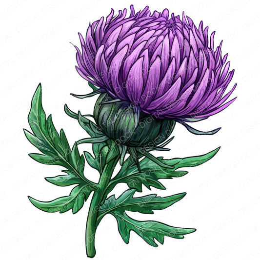 Thistle Flower fussy cut sheet in US Letter format showing all 12 designs on one printable page
