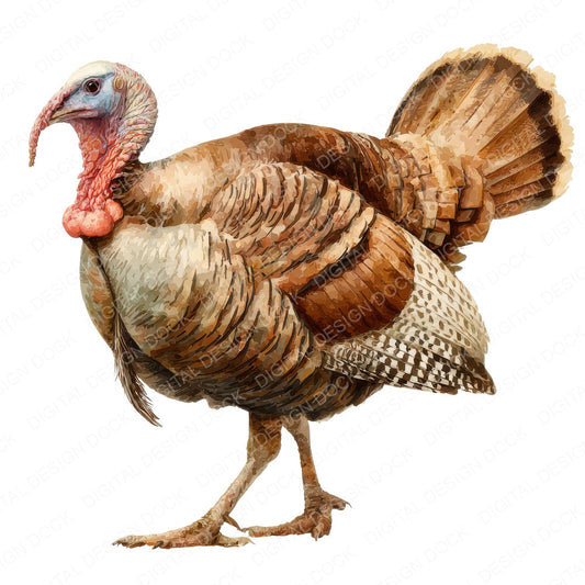 Turkey Walking fussy cut sheet in A4 format showing all 12 designs on one printable page