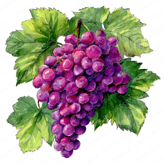 Vintage Grapes fussy cut sheet in A4 format showing all 12 designs on one printable page