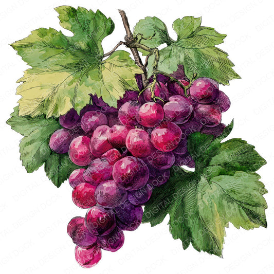 Vintage Grapes fussy cut sheet in US Letter format showing all 12 designs on one printable page