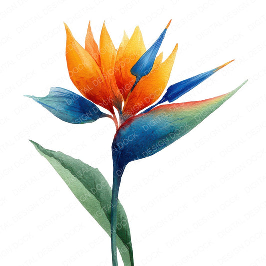 Watercolour Bird of Paradise fussy cut sheet in A4 format showing all 12 designs on one printable page