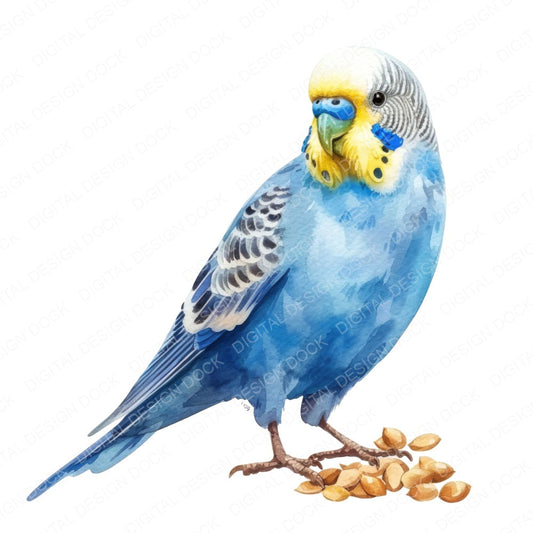 Watercolour Budgerigar fussy cut sheet in US Letter format showing all 12 designs on one printable page