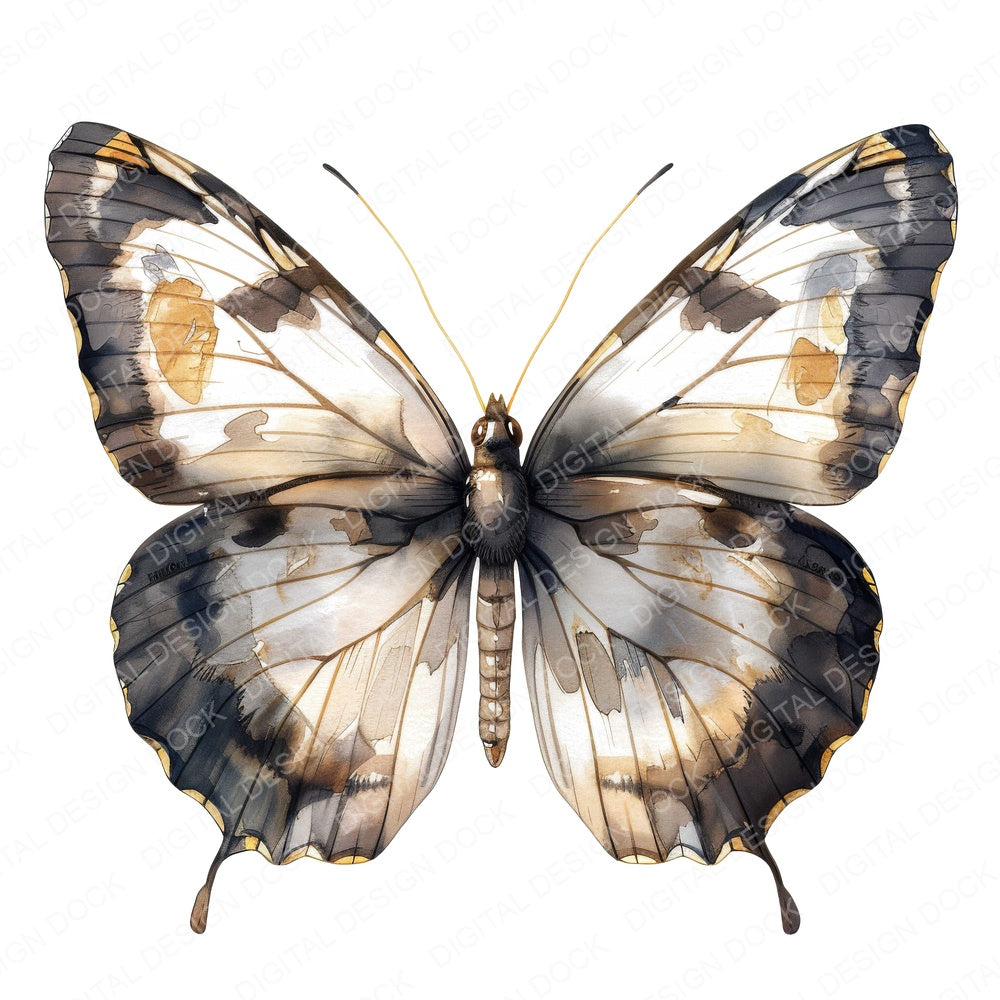 Watercolour Butterfly Glasswing fussy cut sheet in US Letter format showing all 12 designs on one printable page