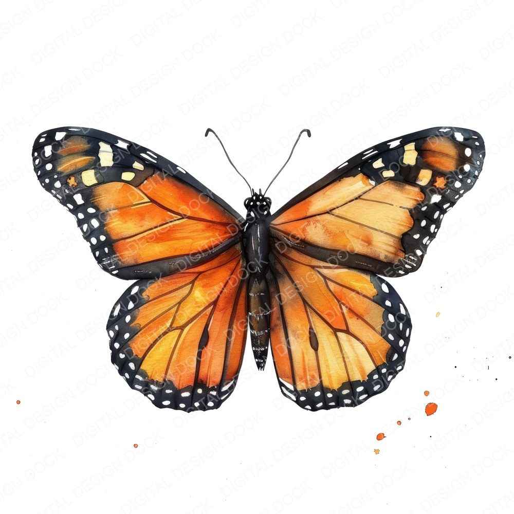 Watercolour Butterfly Monarch Clipart Set (DDD007021)