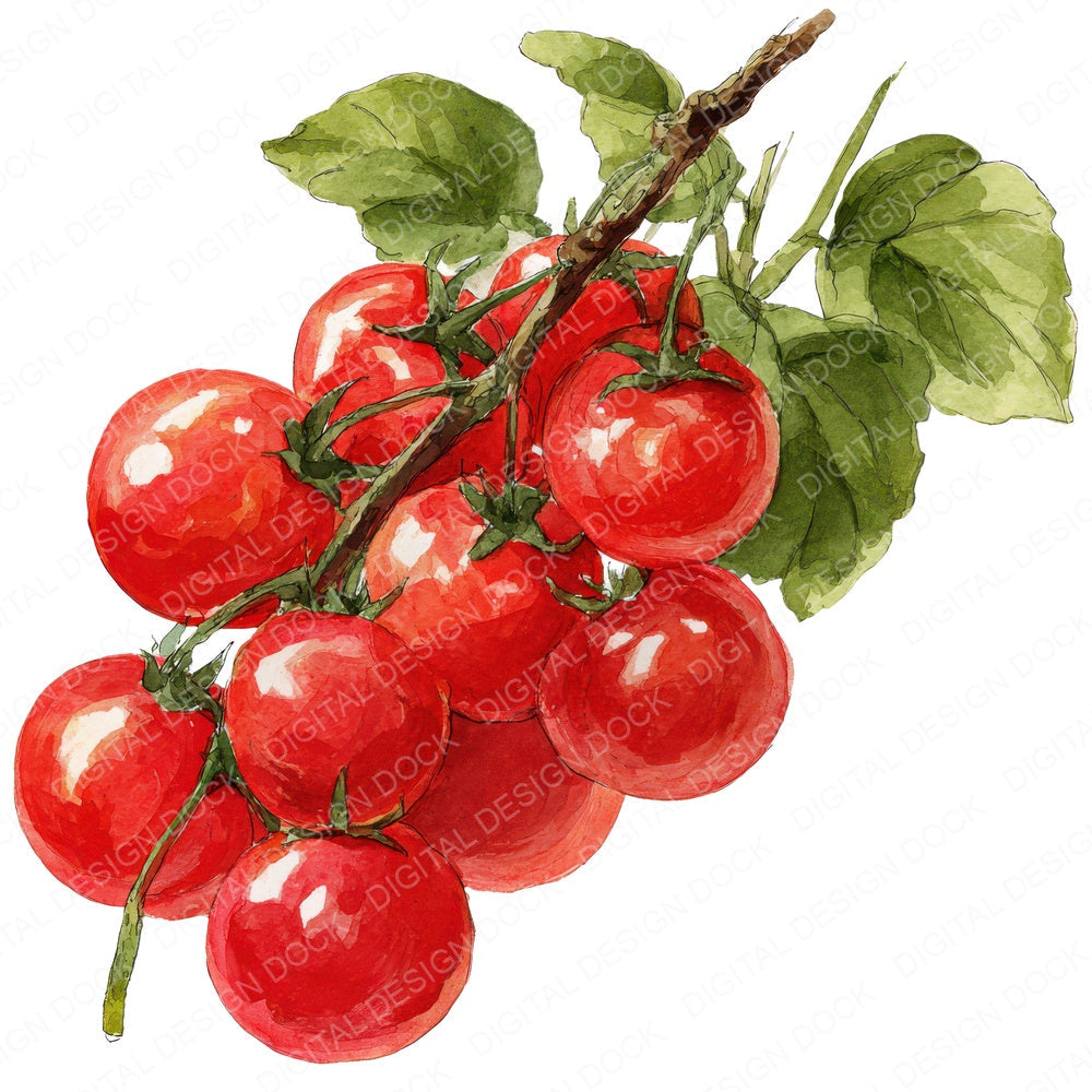 Watercolour Cherry Tomatoes fussy cut sheet in A4 format showing all 12 designs on one printable page