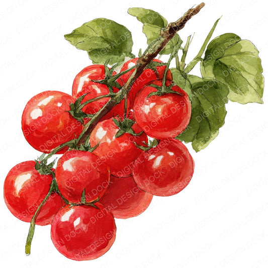 Watercolour Cherry Tomatoes fussy cut sheet in A4 format showing all 12 designs on one printable page