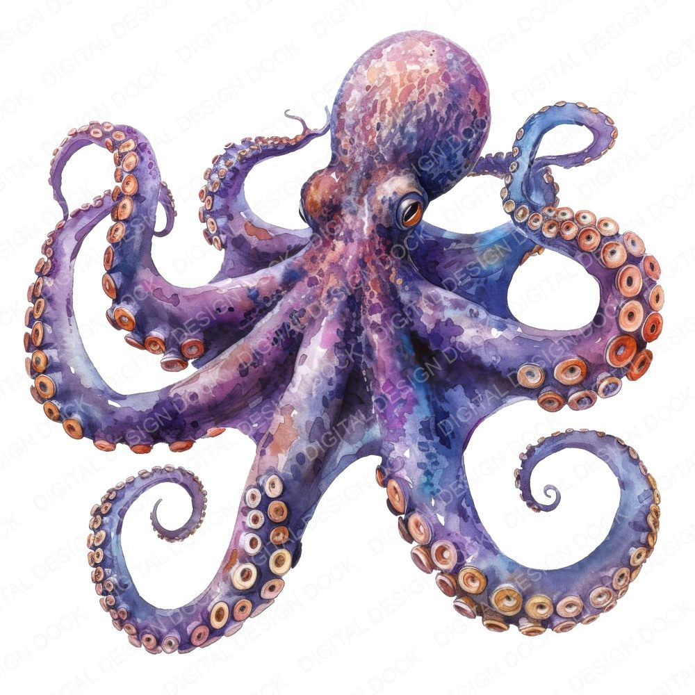 Watercolour Colourful Octopus Clipart Set (DDD007067)