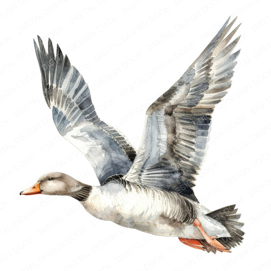 Watercolour Duck in Mid flight fussy cut sheet in A4 format showing all 12 designs on one printable page