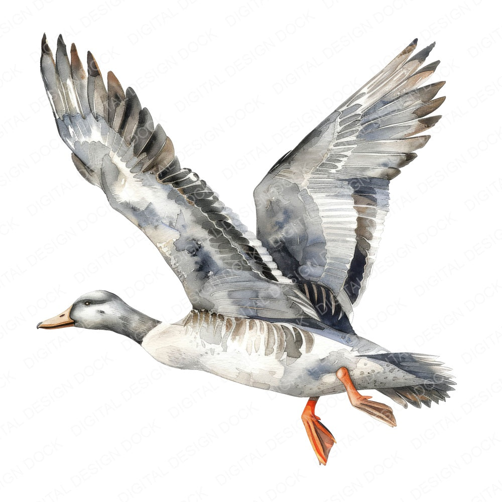 Watercolour Duck in Mid flight fussy cut sheet in US Letter format showing all 12 designs on one printable page