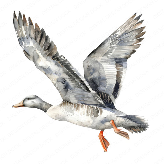 Watercolour Duck in Mid flight fussy cut sheet in US Letter format showing all 12 designs on one printable page