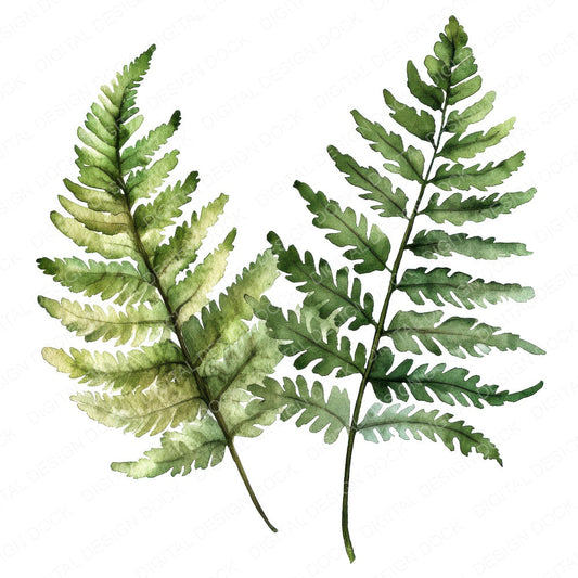 Watercolour Ferns fussy cut sheet in US Letter format showing all 12 designs on one printable page