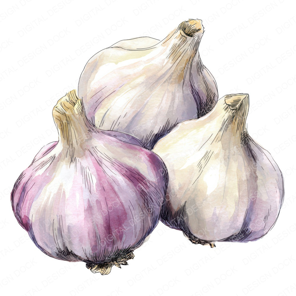 Watercolour Garlic Cloves fussy cut sheet in A4 format showing all 12 designs on one printable page