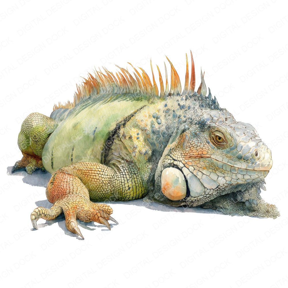 Watercolour Iguana fussy cut sheet in US Letter format showing all 12 designs on one printable page